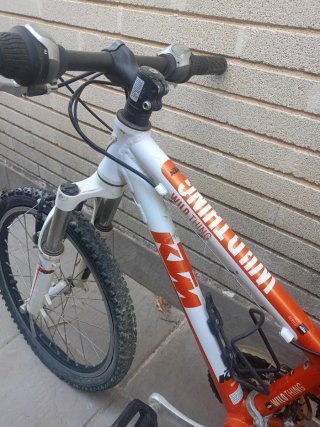 Bicicleta KTM Wild Thing 24