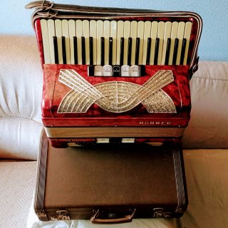 Acordeón Hohner Verdi II 96 bajos