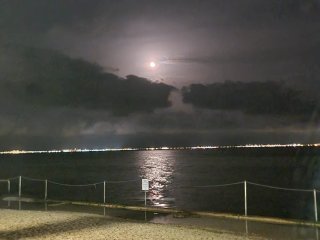 Traje pesca submarina y arpón 100