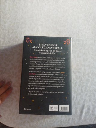 La princesa encantada (Serie Everfall 1)