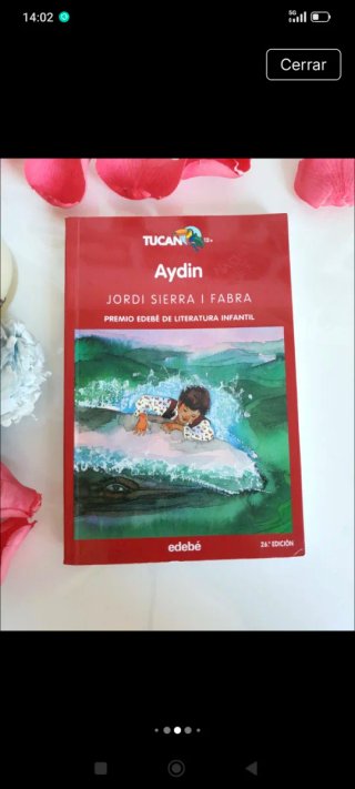 Aydin