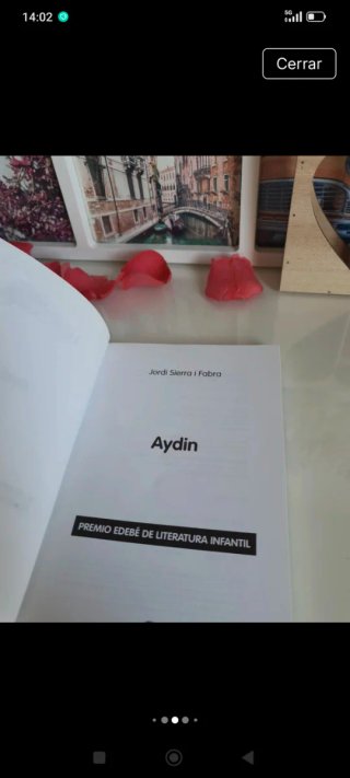 Aydin