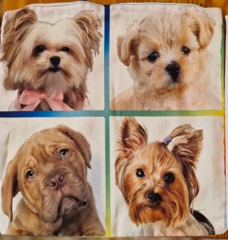 2 Fundas Cojín Perros y Gatos Adopta