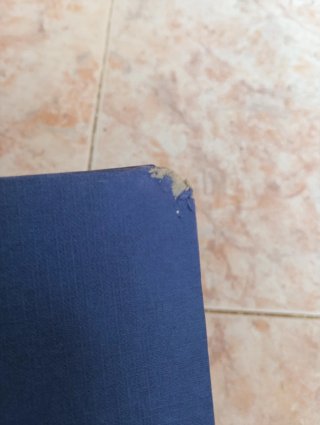 La araña negra