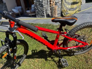 Bici Monty 20 Infantil