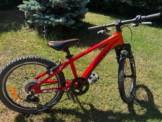 Bici Monty 20 Infantil