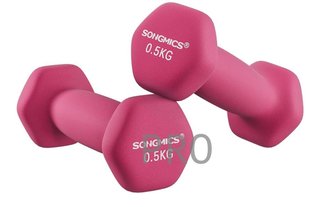Juego de 2 Mancuernas 0,5KG SONGMICS
