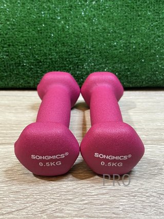 Juego de 2 Mancuernas 0,5KG SONGMICS