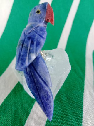 Loro Azul Mineral Natural