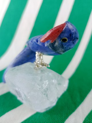 Loro Azul Mineral Natural