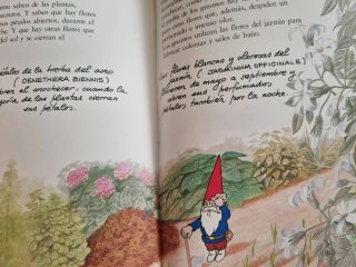 El Libro Secreto de los Gnomos