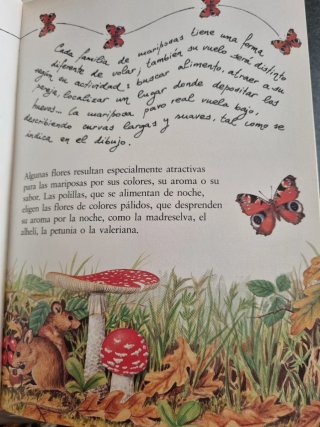 El Libro Secreto de los Gnomos