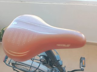 Bicicleta Plegable Moma