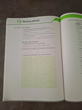 Business Partner - Niveau B1+ Workbook