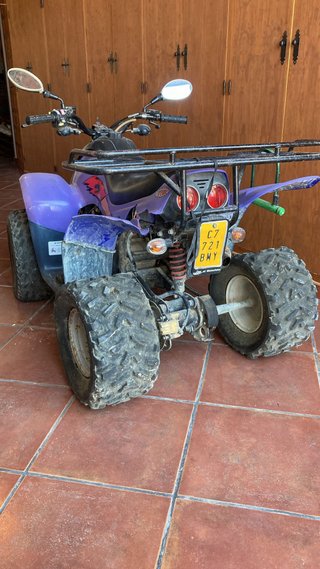 Quad 49cc Morado