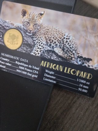 Moneta d'oro, Leopardo