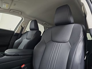 Lexus NX 450h+ Premium+ 4WD