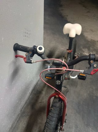 Bicicleta infantil