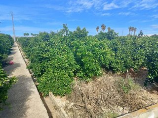 Terreno en venta en Xeraco
