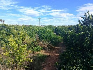 Terreno en venta en Xeraco