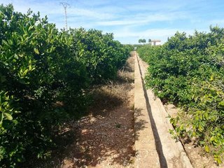 Terreno en venta en Xeraco