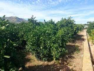 Terreno en venta en Xeraco