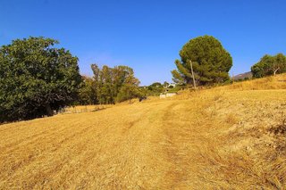Terreno en venta en Centro en Alhaurín de la Torre