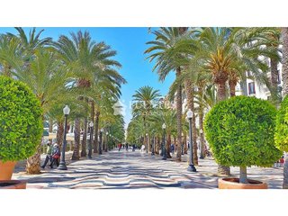 Local comercial en venta en Mercado en Alicante