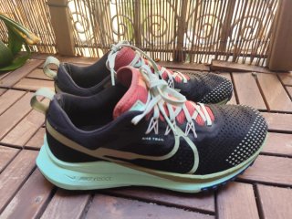 Nike Pegasus Trail 4