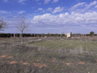 Terreno en venta en Carretera Daimiel en Valdepeñas