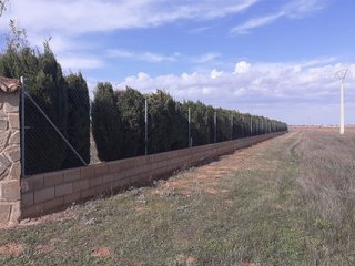 Terreno en venta en Carretera Daimiel en Valdepeñas