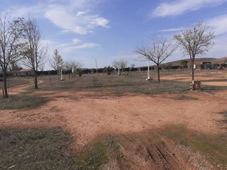 Terreno en venta en Carretera Daimiel en Valdepeñas