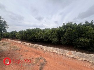 Terreno en venta en Avda. Alemania - Italia en Villarreal