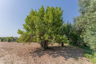 Chalet en venta en Algorós - El Derramador en Elche