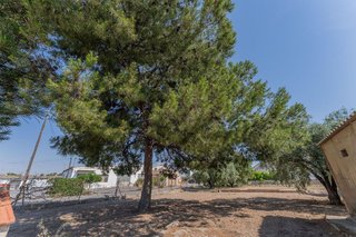 Chalet en venta en Algorós - El Derramador en Elche