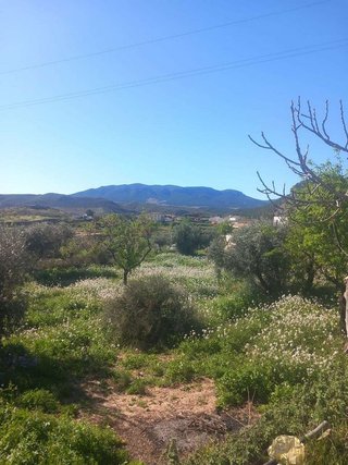 Casa en venta en Vélez-Rubio