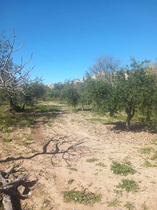 Casa en venta en Vélez-Rubio