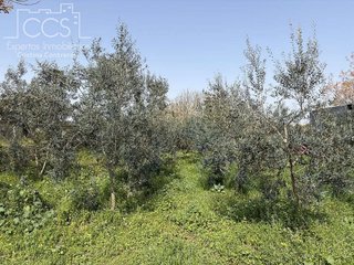 Casa rural en venta en Pilas