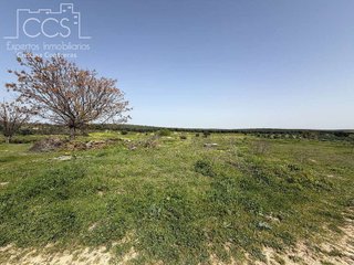 Casa rural en venta en Pilas