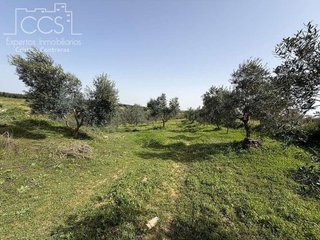 Casa rural en venta en Pilas