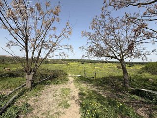 Casa rural en venta en Pilas