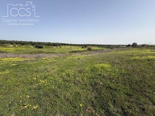 Casa rural en venta en Pilas