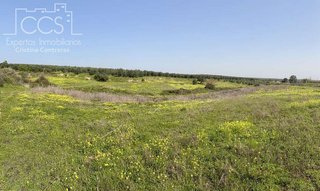 Casa rural en venta en Pilas