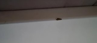 Cama Ikea Brimnes con cajones