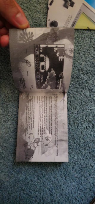 The Jungle Book Game Boy Instruction Booklet