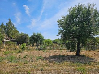 Terreno en venta en Calvià en Calvià