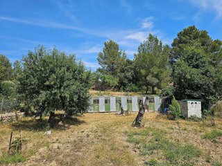 Terreno en venta en Calvià en Calvià