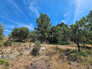 Terreno en venta en Calvià en Calvià