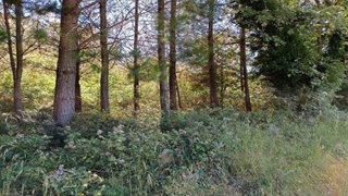 Terreno en venta en Puebla de Alfindén (La)