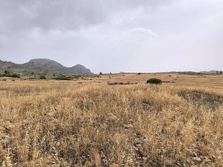 Terreno en venta en Yecla